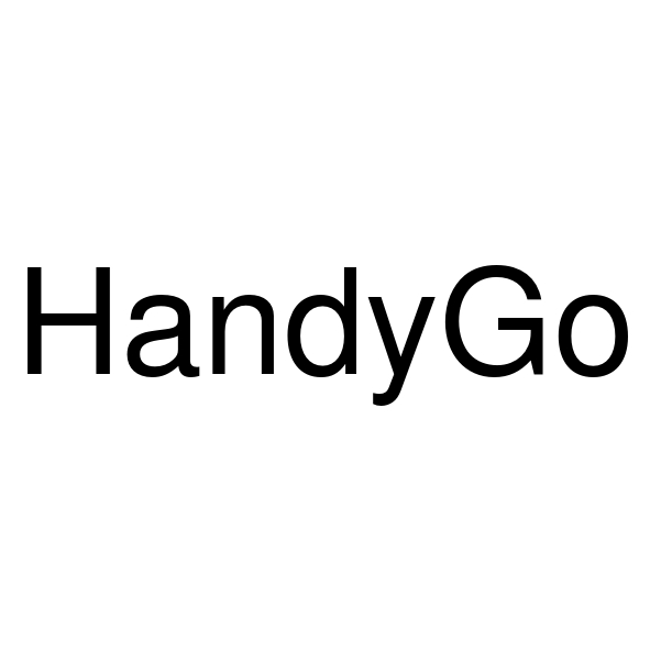 handygo
