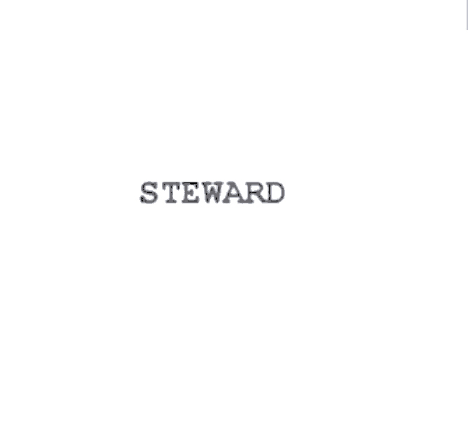 steward
