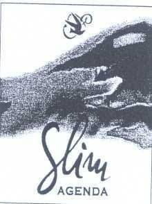 SLIM AGENDA