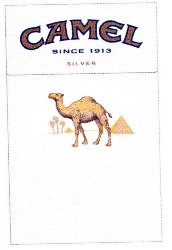 CAMEL