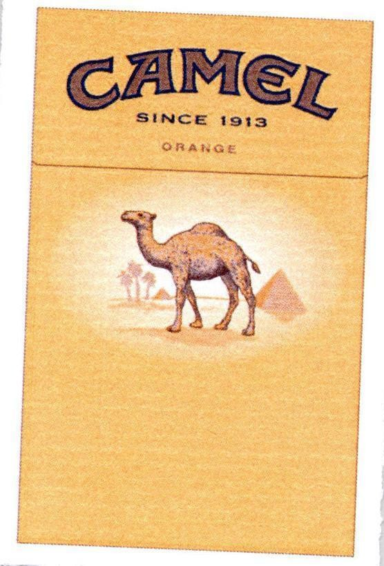 CAMEL since 1913 ORANGE