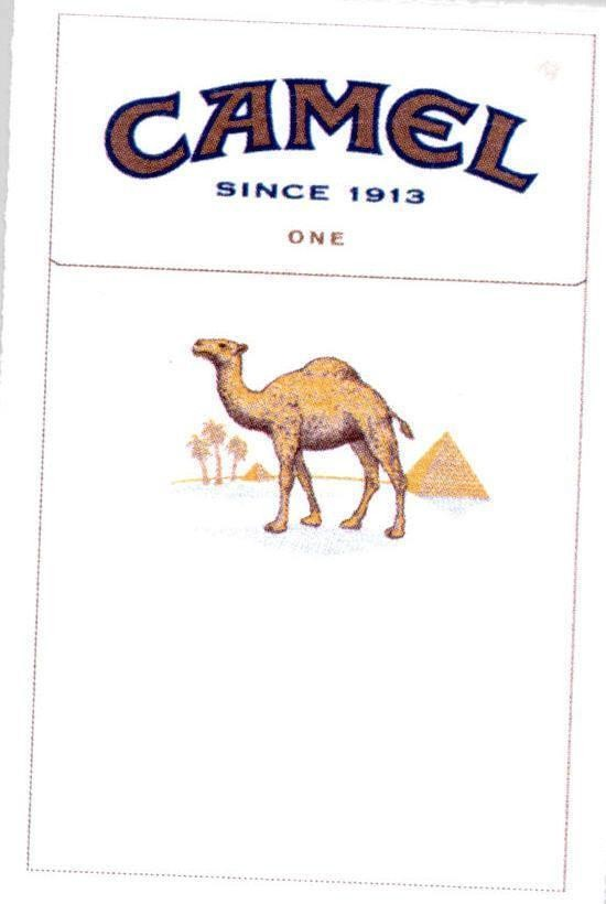 CAMEL