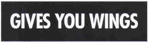 GIVES YOU WINGS