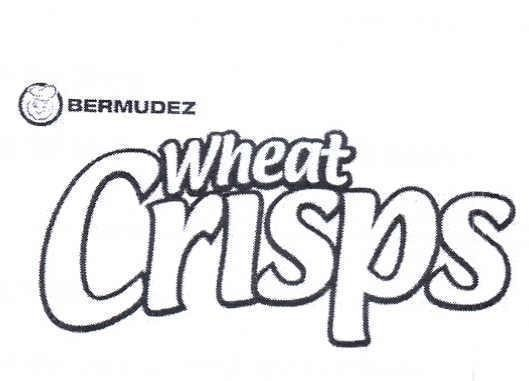 BERMUDEZ WHEAT CRISPS