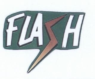 FLASH