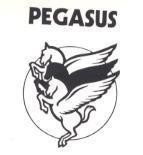 PEGASUS