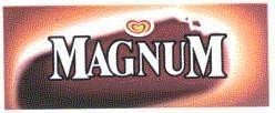 MAGNUM