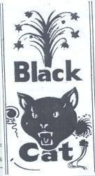 BLACK CAT