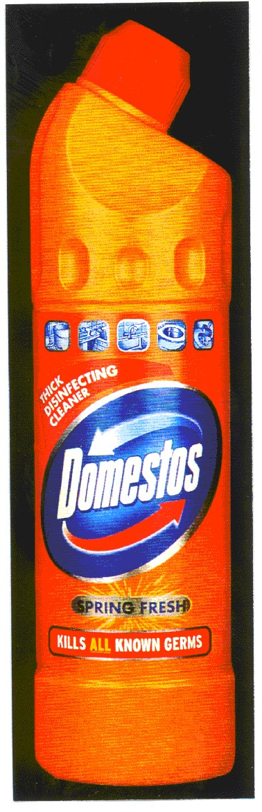 domestos