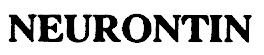 neurontin