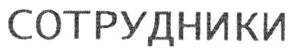 сотрудники
