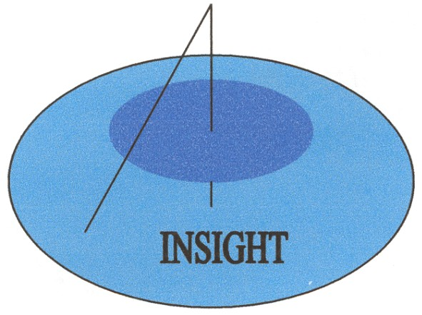insight