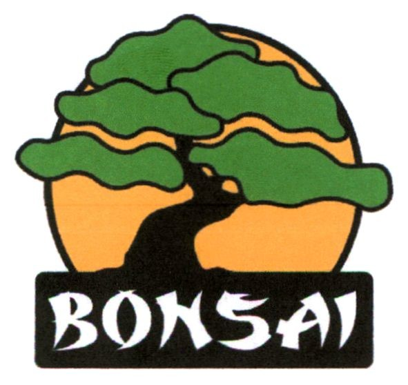 bonsai