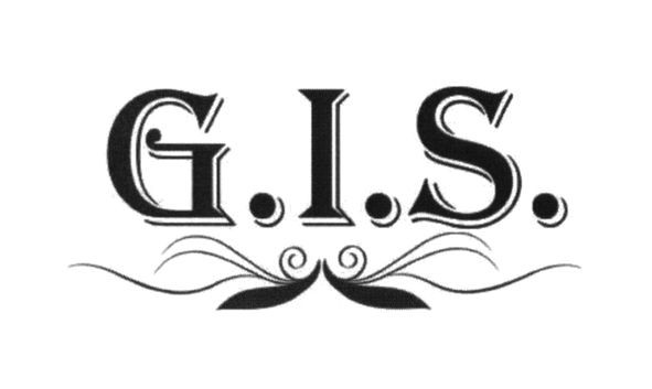 g.i.s.