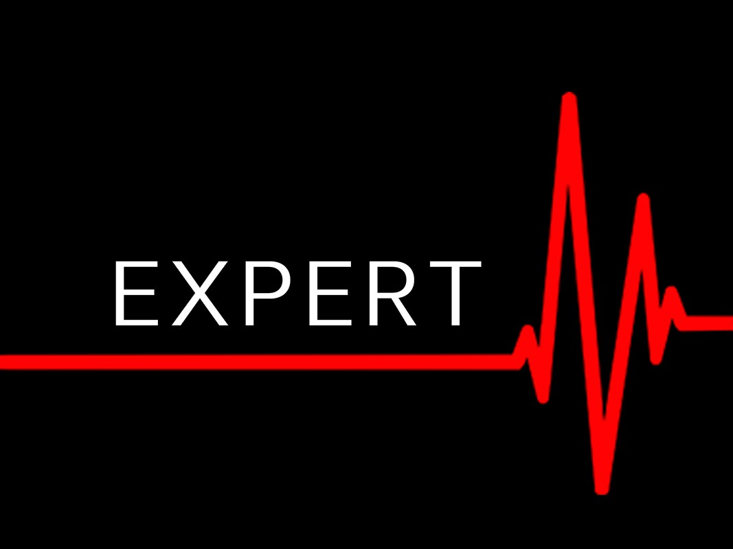 expert