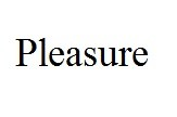 pleasure