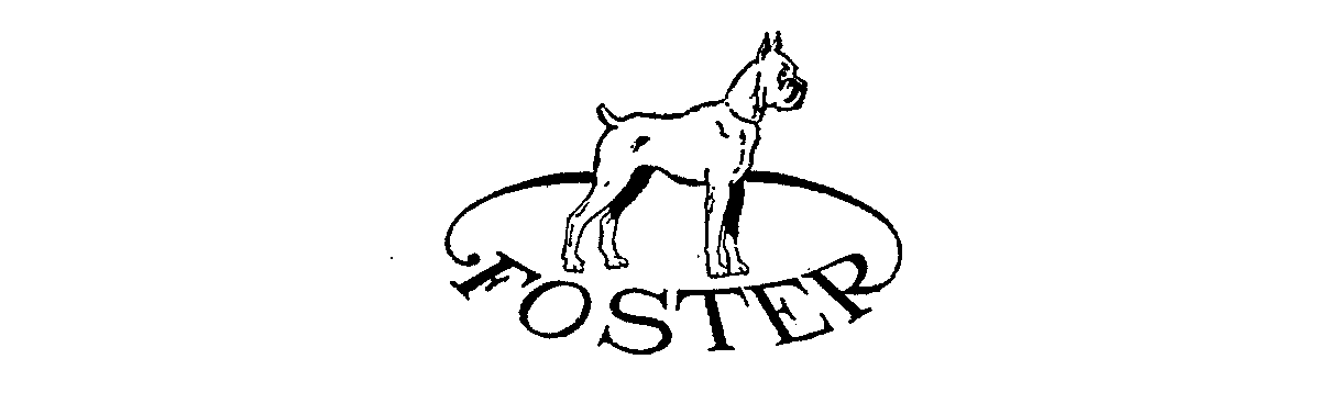 FOSTER