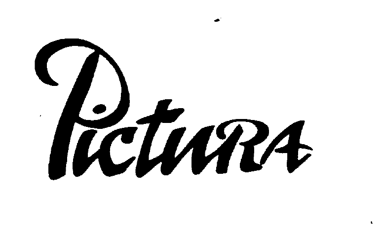 PICTURA