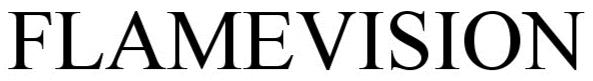 FLAMEVISION