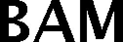 BAM