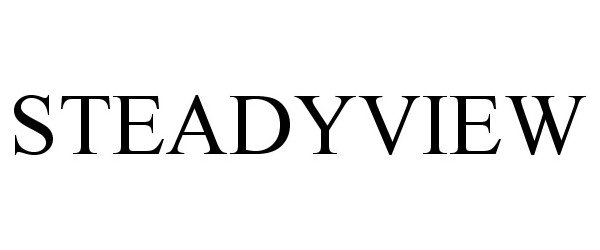 STEADYVIEW