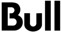 Bull