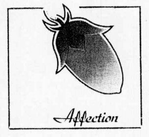 Affection