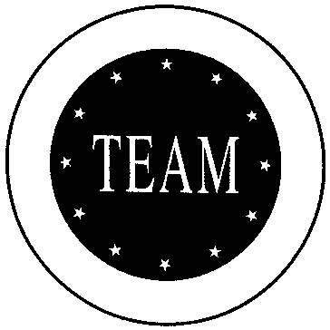 TEAM